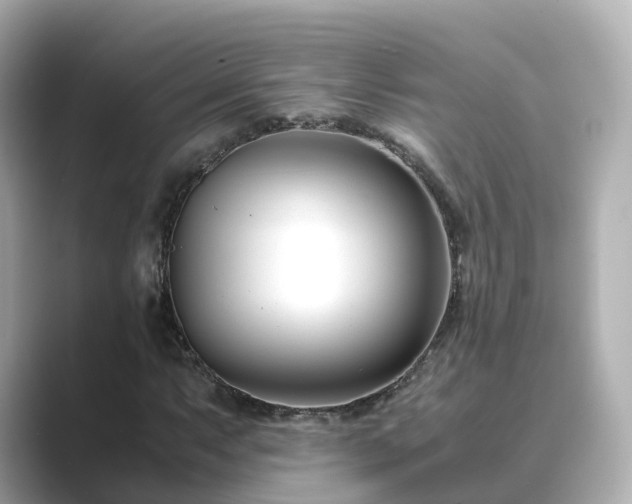X0000089411063200706221131