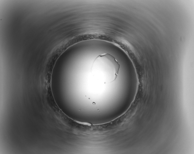 X0000089411064200706221131