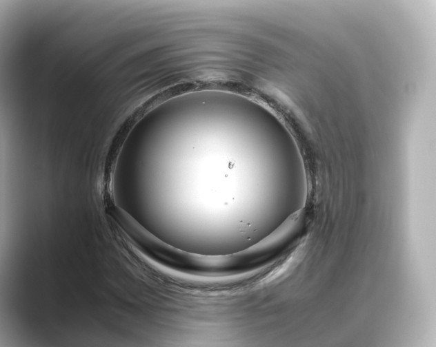 X0000089411065200706221131