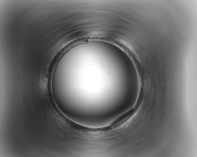 X0000089411066200706221131