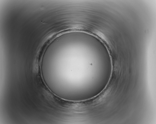X0000089411067200706221131