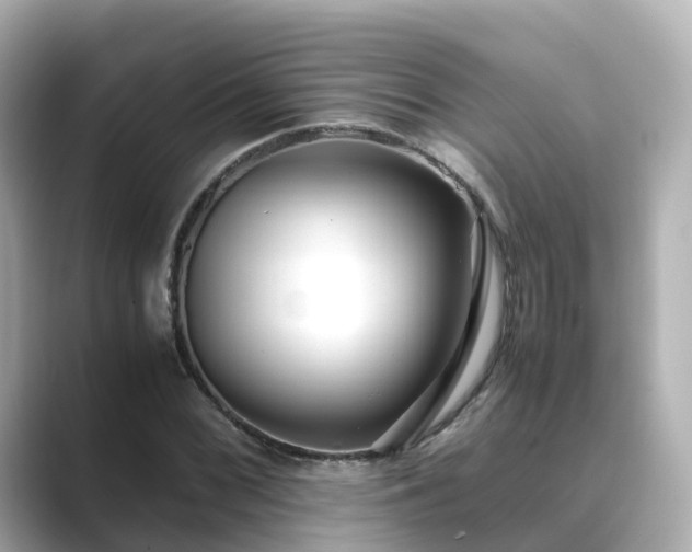 X0000089411068200706221131