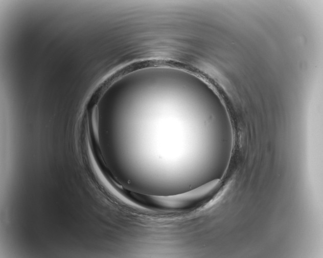 X0000089411069200706221131