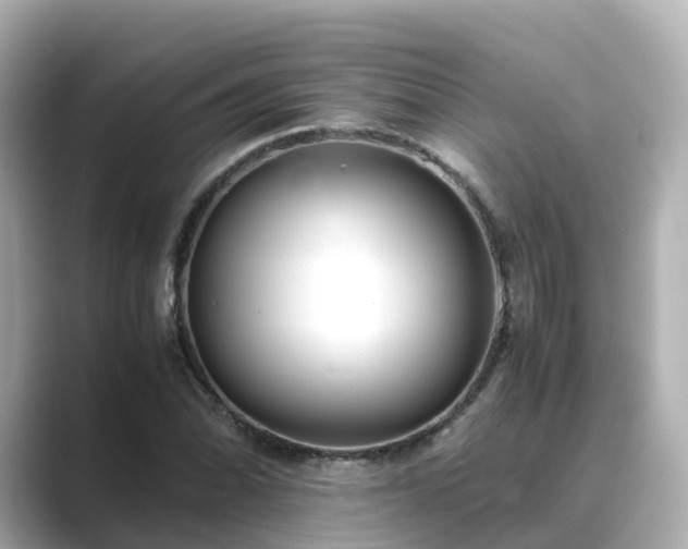 X0000089411070200706221131