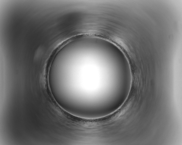 X0000089411071200706221131