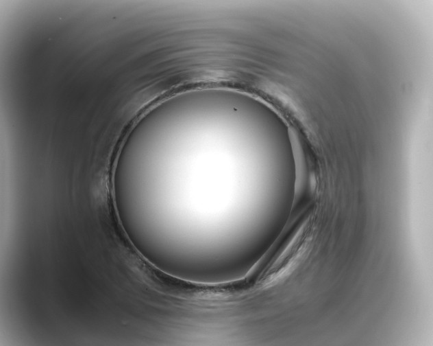 X0000089411073200706221131