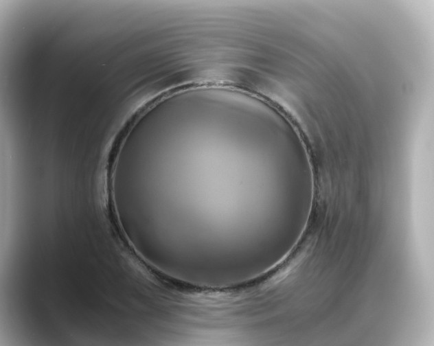 X0000089411075200706221131