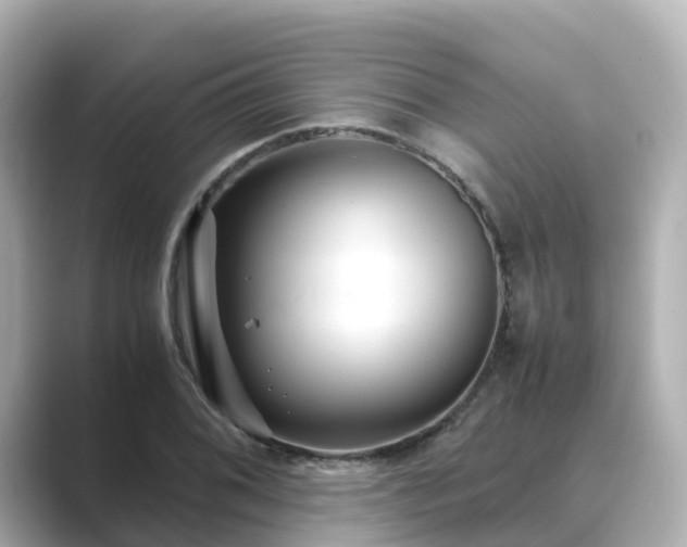 X0000089411076200706221131