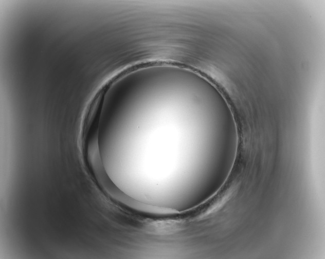 X0000089411077200706221131