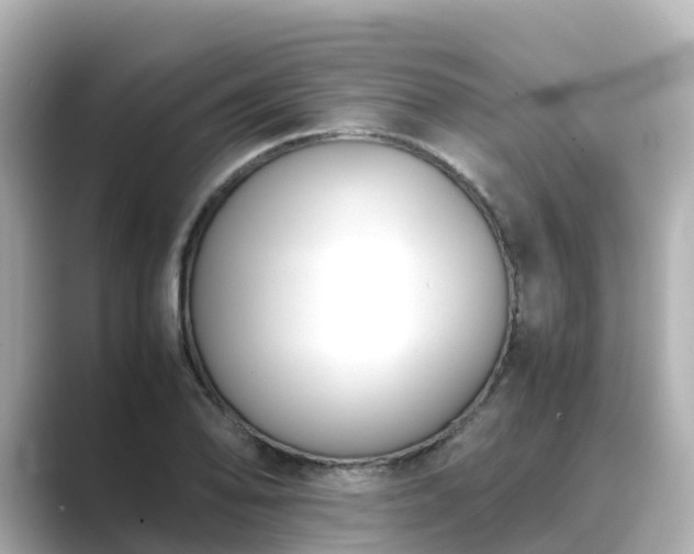 X0000089411078200706221131
