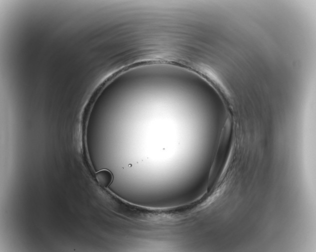 X0000089411079200706221131