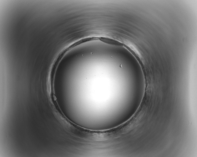 X0000089411080200706221131