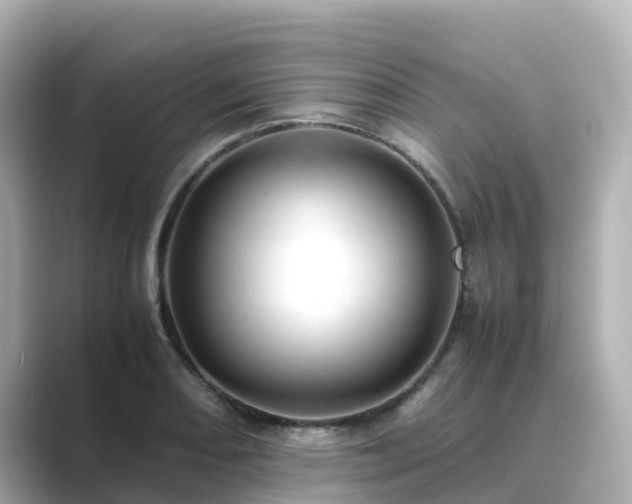 X0000089411082200706221131
