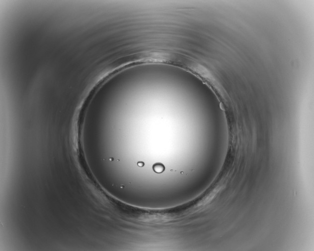 X0000089411083200706221131