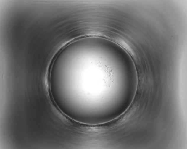 X0000089411084200706221131