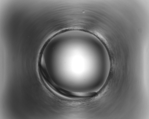 X0000089411085200706221131