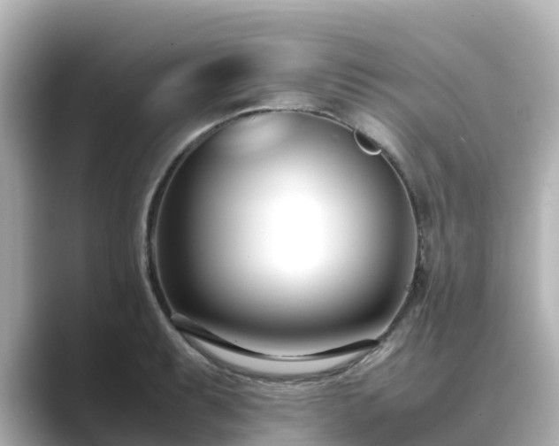X0000089411087200706221131