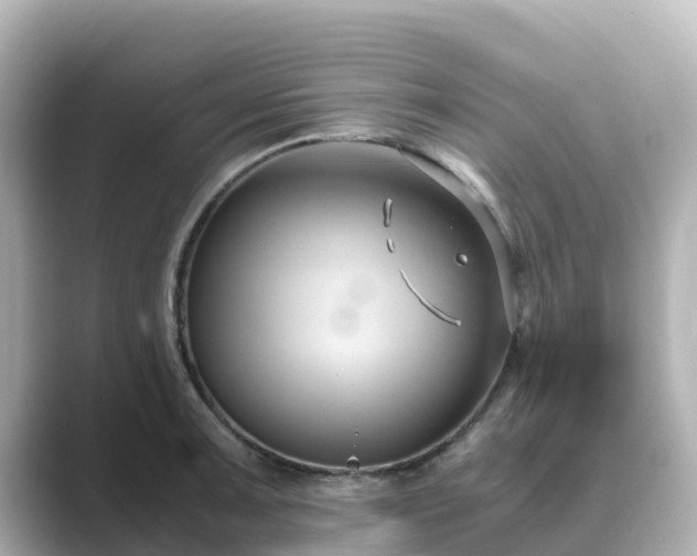 X0000089411091200706221131