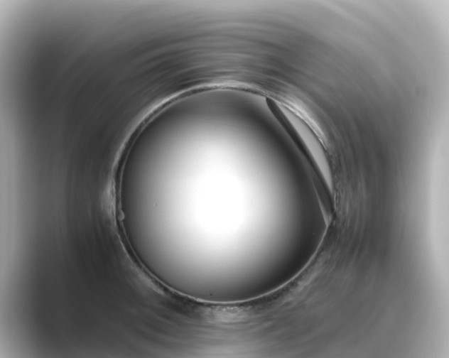 X0000089411092200706221131