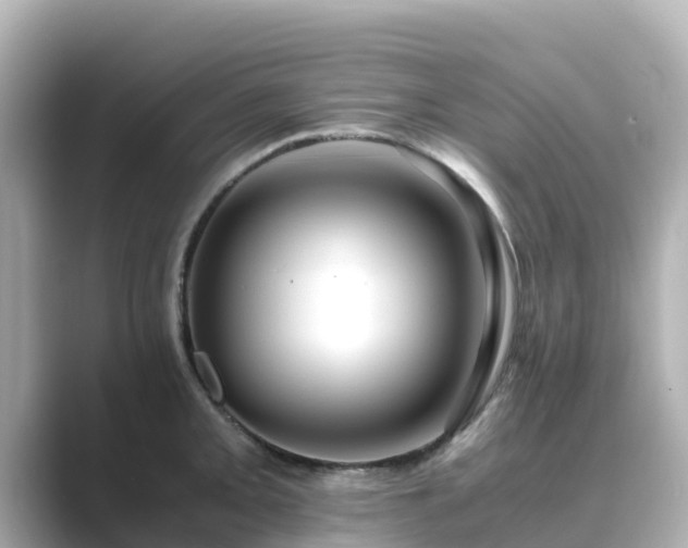 X0000089411093200706221131