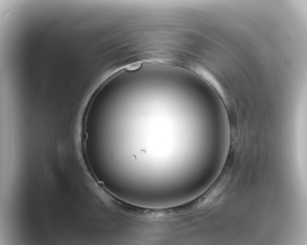 X0000089411099200706221131