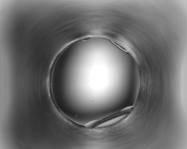 X0000089411100200706221131
