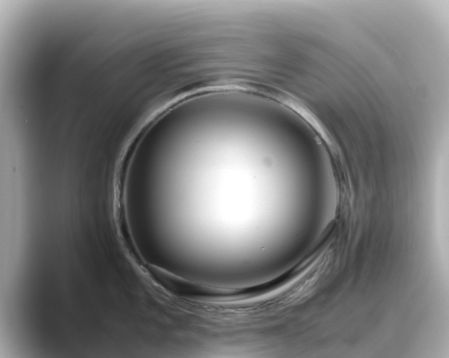 X0000089411101200706221131