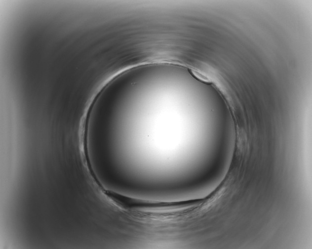 X0000089411102200706221131