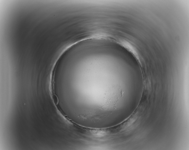 X0000089411103200706221131