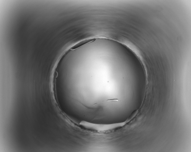 X0000089411104200706221131