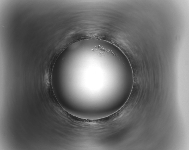 X0000089411106200706221130