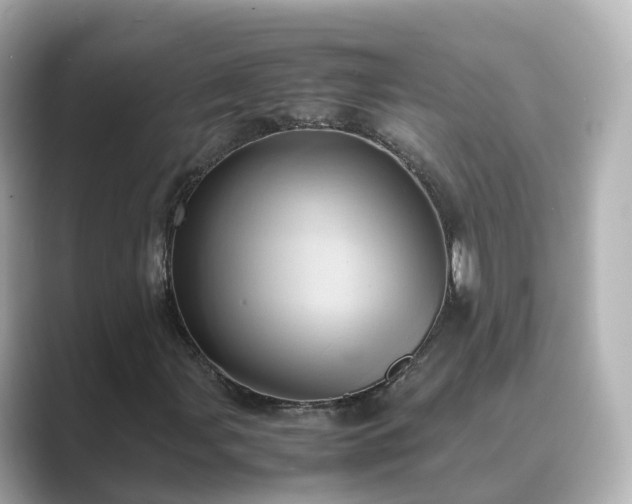 X0000089411107200706221130