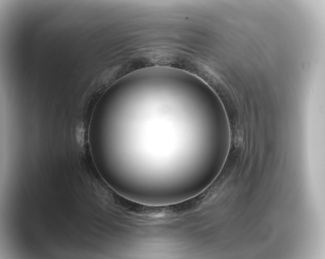 X0000089411108200706221130