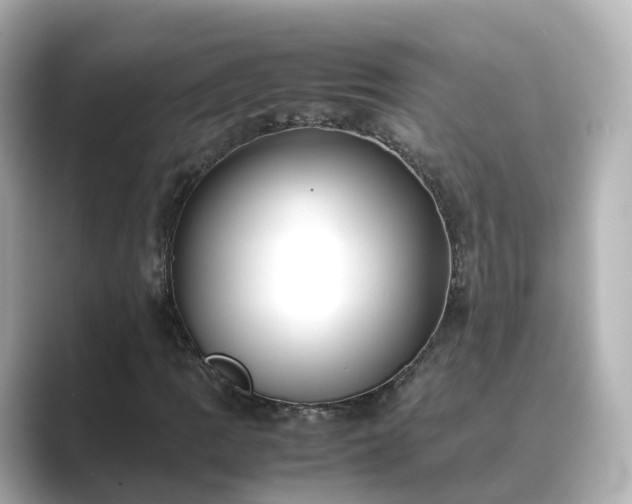 X0000089411109200706221130