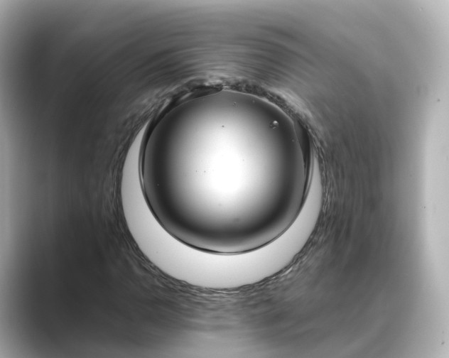 X0000089411110200706221130