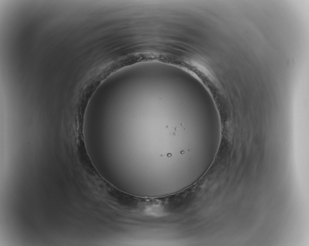 X0000089411111200706221130