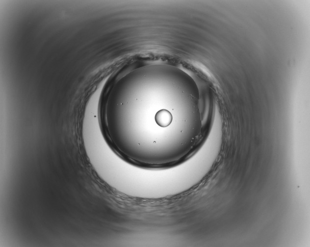 X0000089411112200706221130