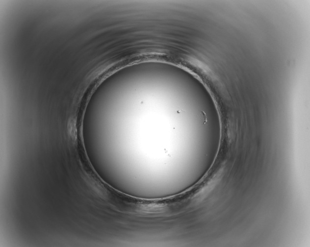 X0000089411113200706221130