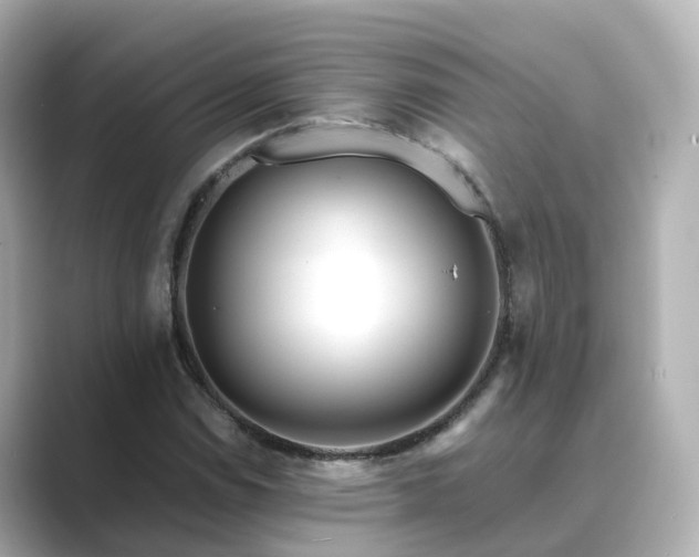 X0000089411114200706221130