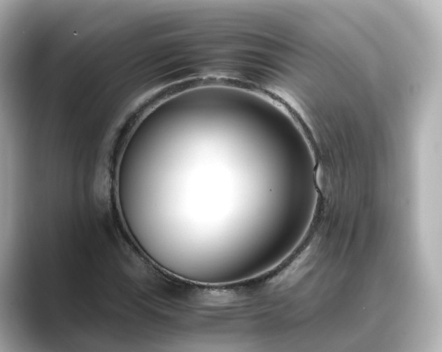 X0000089411115200706221130