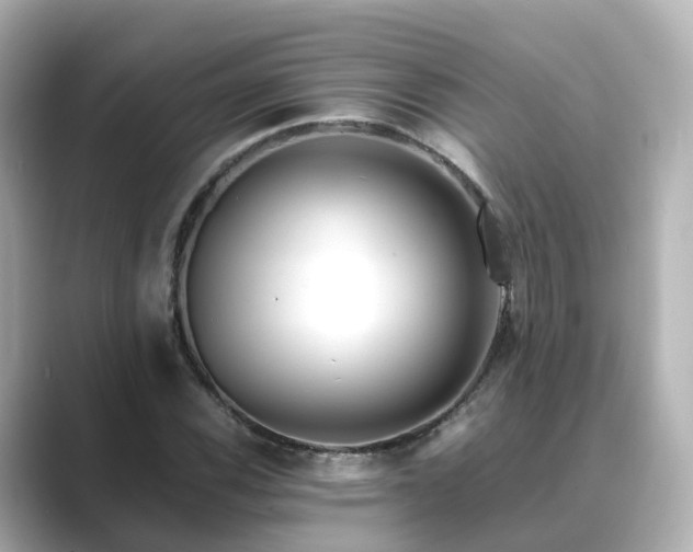 X0000089411116200706221130