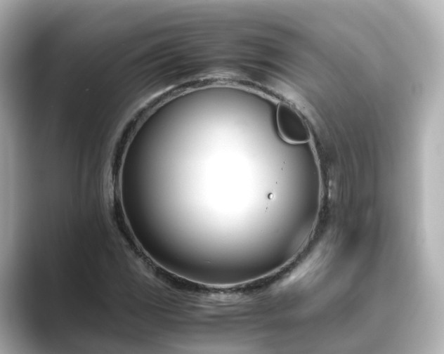 X0000089411117200706221130