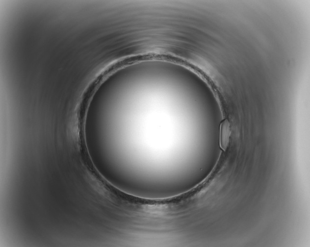 X0000089411118200706221130