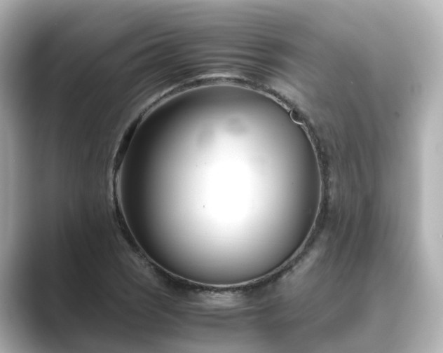 X0000089411121200706221130