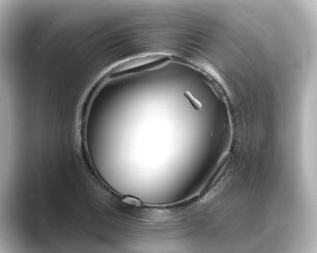 X0000089411124200706221130