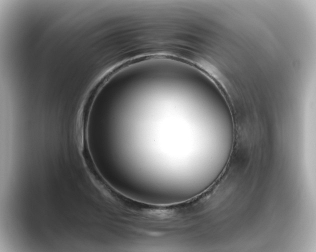 X0000089411127200706221130