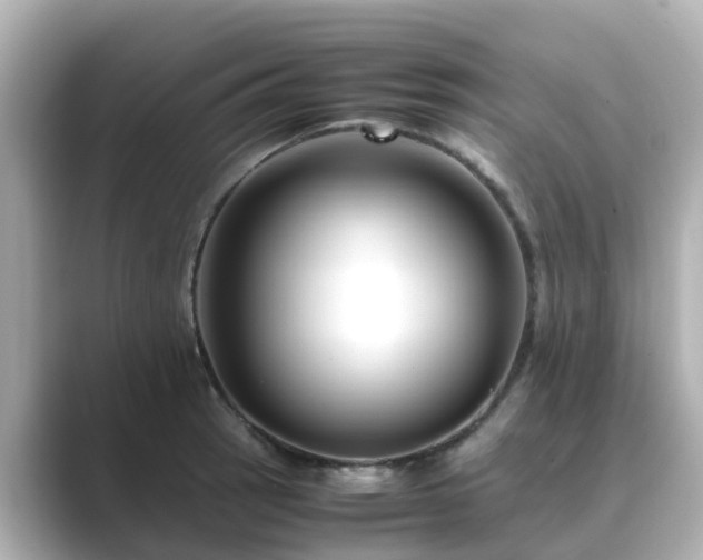 X0000089411137200706221130