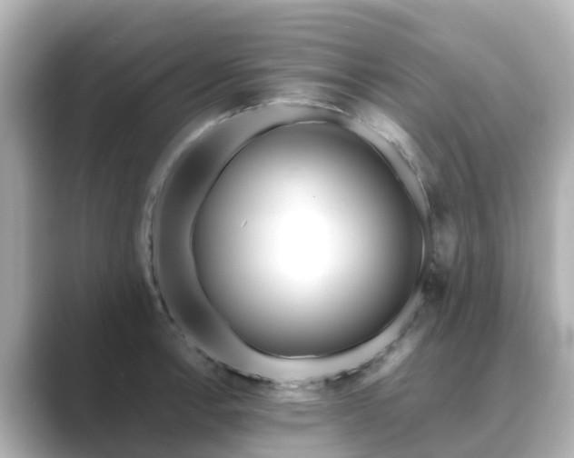 X0000089411138200706221130