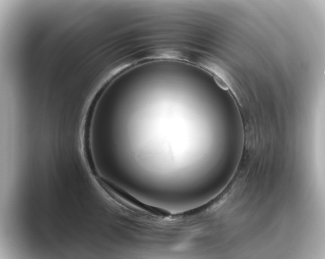 X0000089411139200706221130