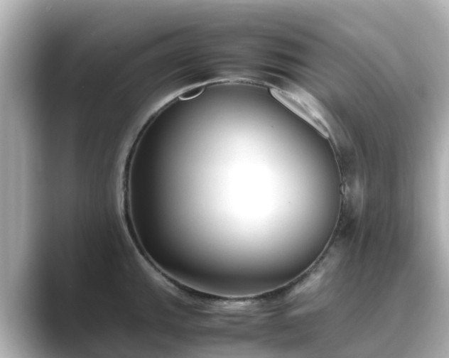 X0000089411143200706221131
